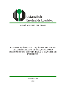 TCC-AndreDelGrossi-BCC-UEL-2013