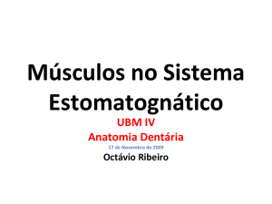 Aula 8 – Músculos no Sistema Estomatognático