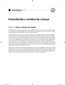 Entendendo o c&eacute;rebro da crian&ccedil;a