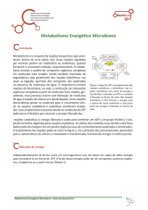 Texto Metabolismo Energético Microbiano