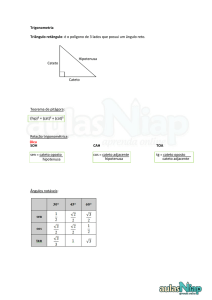 Trigonometria do triangulo