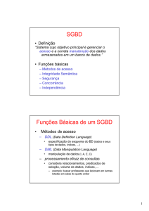 SGBD Funções Básicas de um SGBD