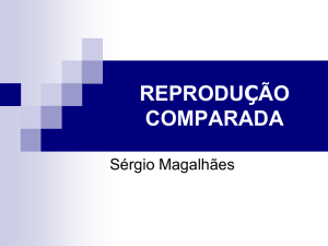 REPRODUÇÃO COMPARADA