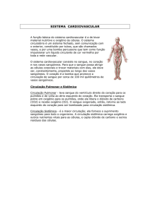 APOSTILA_ANATOMIA_CARDIOVASCULAR[1]