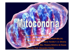 Mitocôndrias - IBILCE/UNESP