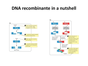 DNA recombinante in a nutshell