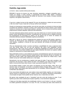psicoterapia individual compto cerebro
