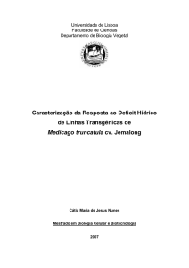 Caracterização da Resposta ao Deficit Hídrico de Linhas