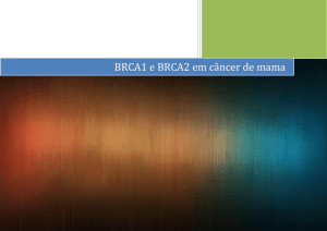 BRCA1 e BRCA2 em câncer de mama