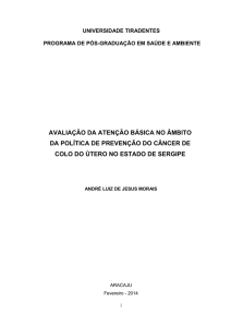 avaliação da atenção básica no âmbito da política de prevenção do