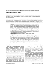 CONSÓRCIO MILHO E FEIJÃO EM SISTEMA DE PLANTIO DIRETO