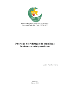 Nutrição e fertilização de orquídeas