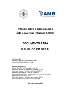 Informe sobre a gripe causada pelo novo vírus Influenza A/H1N1