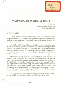 PRINCIPAIS PRAGAS DA CULTURA DO MILHO o número