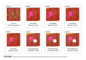 vírus na corrente sanguínea macrófago fagocita invasor macrófago