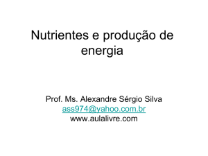 Nutrientes e produção de energia