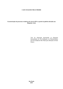 CAIO CESAR DE MELO FREIRE Caracterização de