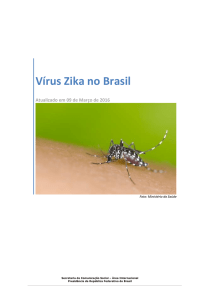 Vírus Zika no Brasil