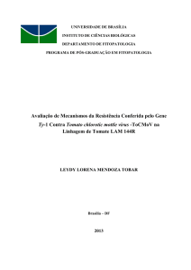 Avaliação de Mecanismos da Resistência Conferida pelo Gene Ty