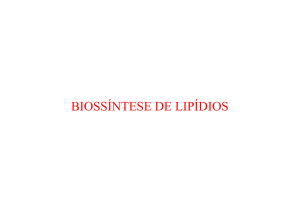 biossíntese de lipídios