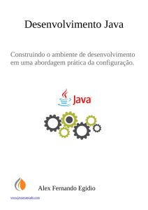 Desenvolvimento Java