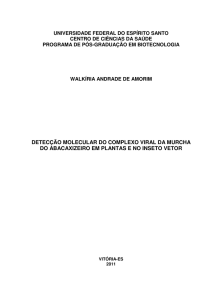 detecção molecular do complexo viral da murcha do abacaxizeiro