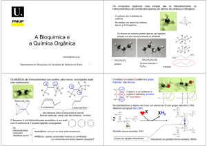 A Bioquimica e a Quimica Organica vs01