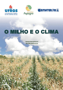 O Milho e o Clima