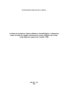 Avaliação de parâmetros clínicos oftálmicos, eletrofisiológicos