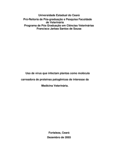 Uso de vírus que infectam plantas como molécula