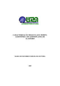 caracterização molecular e morfo- agronômica de