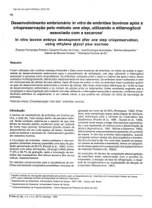 Desenvolvimento embrionário in vitro de embriões bovinos