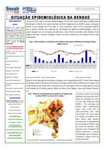 Boletim Epidemiológico Dengue nº 06/ 2011