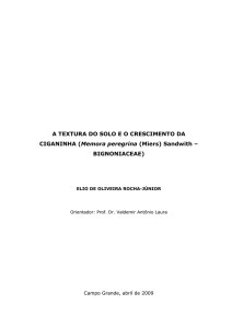 A TEXTURA DO SOLO E O CRESCIMENTO DA CIGANINHA