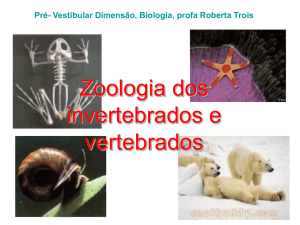 Zoologia dos invertebrados e vertebrados