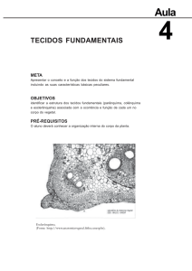 Morfologia e Anatomia Vegetal.pmd