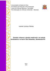 Ivanete Cardoso Palheta Quintais urbanos e plantas medicinais: um