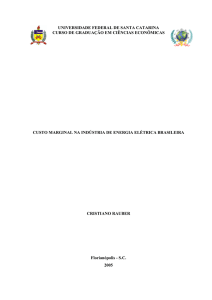 custo marginal na indústria de energia elétrica brasileira