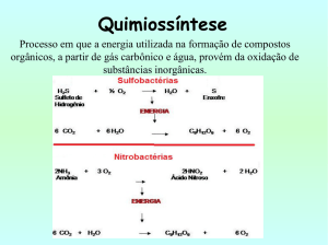 Quimiossíntese - Biologia ONGEP