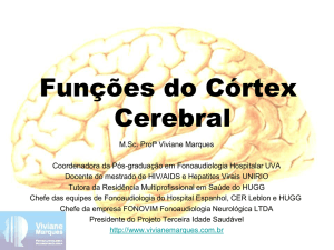 Funções do córtex cerebral