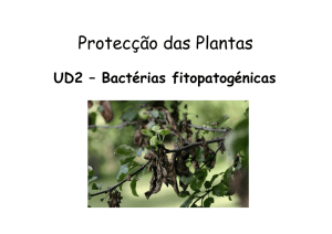 UD2 - Teórica de Bacteriologia