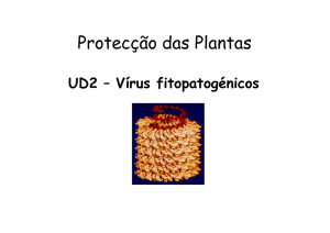 UD2 - Teórica de Virologia