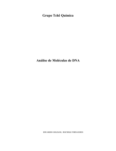 Grupo Tchê Química Análise de Moléculas de DNA