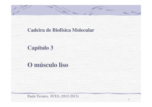 AULA 5 Músculo Liso Biofísica Molecular 2012 - Moodle