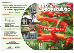 Informe Agropecuário nº235 - Cultivo da Pimenta