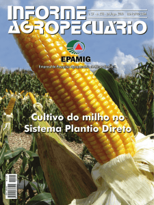 Informe Agropecuário nº233 - Cultivo do milho no Sistema