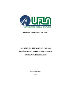 TESE_Manejo da irrigação para o feijão-de-metro cultivado