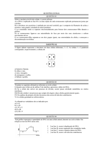 QUESTÕES EXTRAS QUESTÃO 01 Sobre a mecânica da divisão