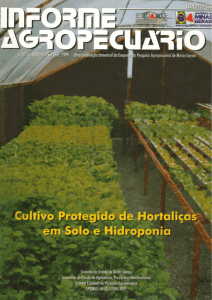 Cultivo Protegido de Hortaliças em Solo e Hidroponiahot!