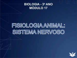 FISIOLOGIA ANIMAL: SISTEMA NERVOSO